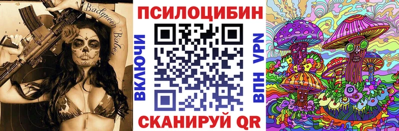 Псилоцибиновые грибы Psilocybine cubensis  Мценск 